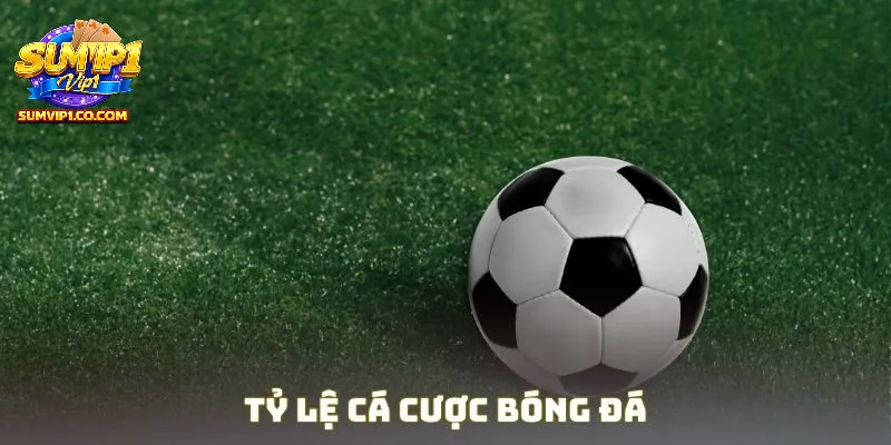 Đôi nét về kèo cá cược bóng đá