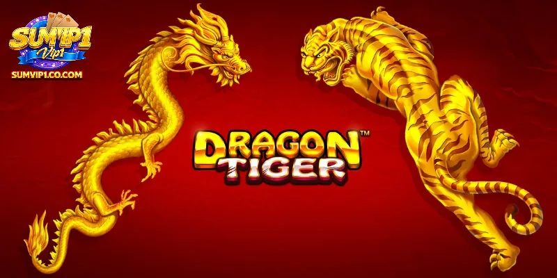 Đôi nét về rồng hổ live tại SUMVIP