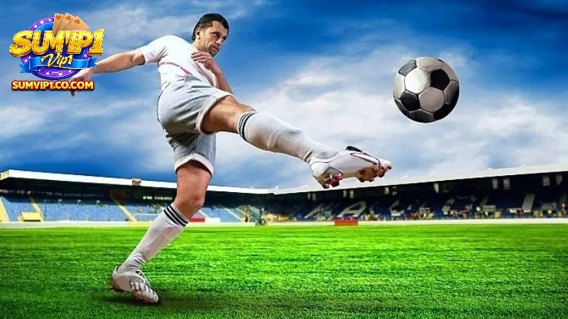 Các loại kèo châu á cơ bản tại SUMVIP